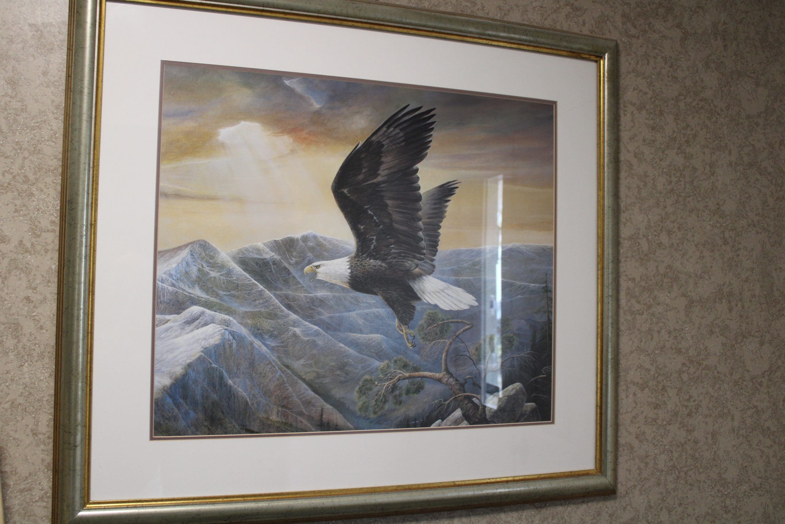 Framed print of eagle soaring over mountains for sale