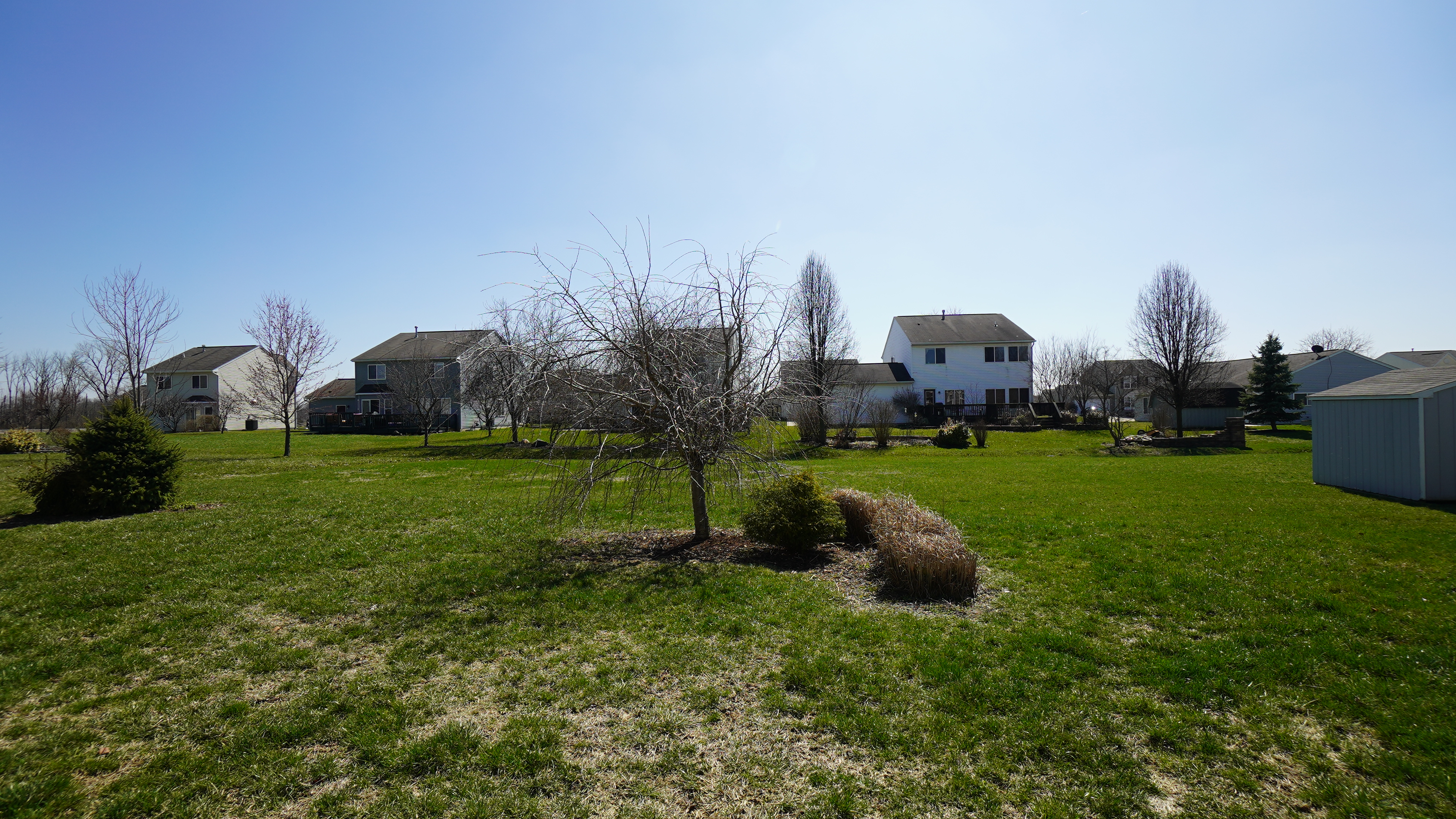 Back Yard View