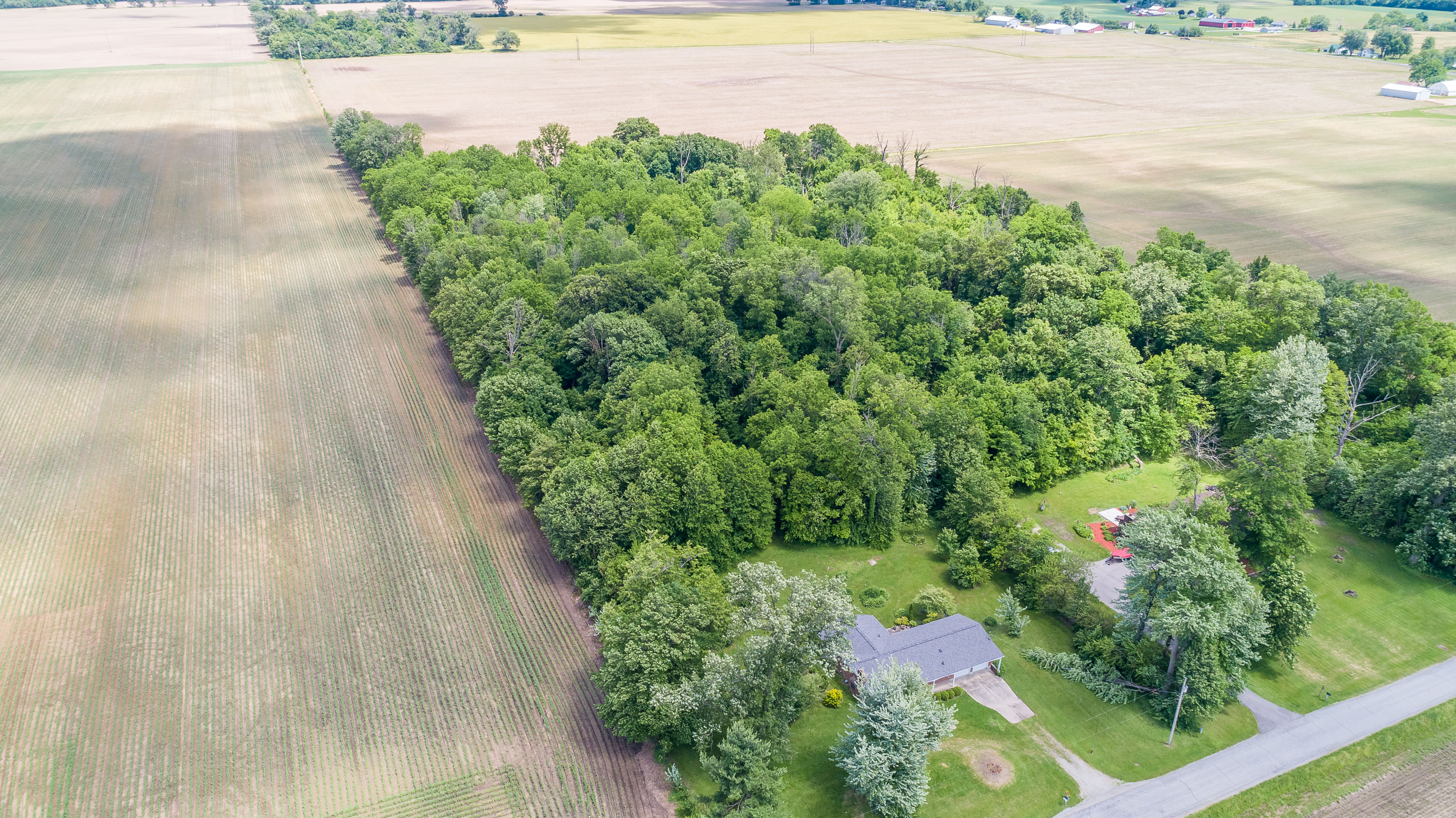 2270 Ebersole, Ohio 45502, 3 Bedrooms Bedrooms, 6 Rooms Rooms,2 BathroomsBathrooms,Single family,Successfully Sold,Ebersole,756882