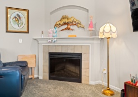 Electric Fireplace