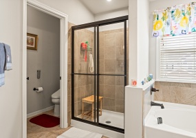 Step-In Shower and Private Toilet