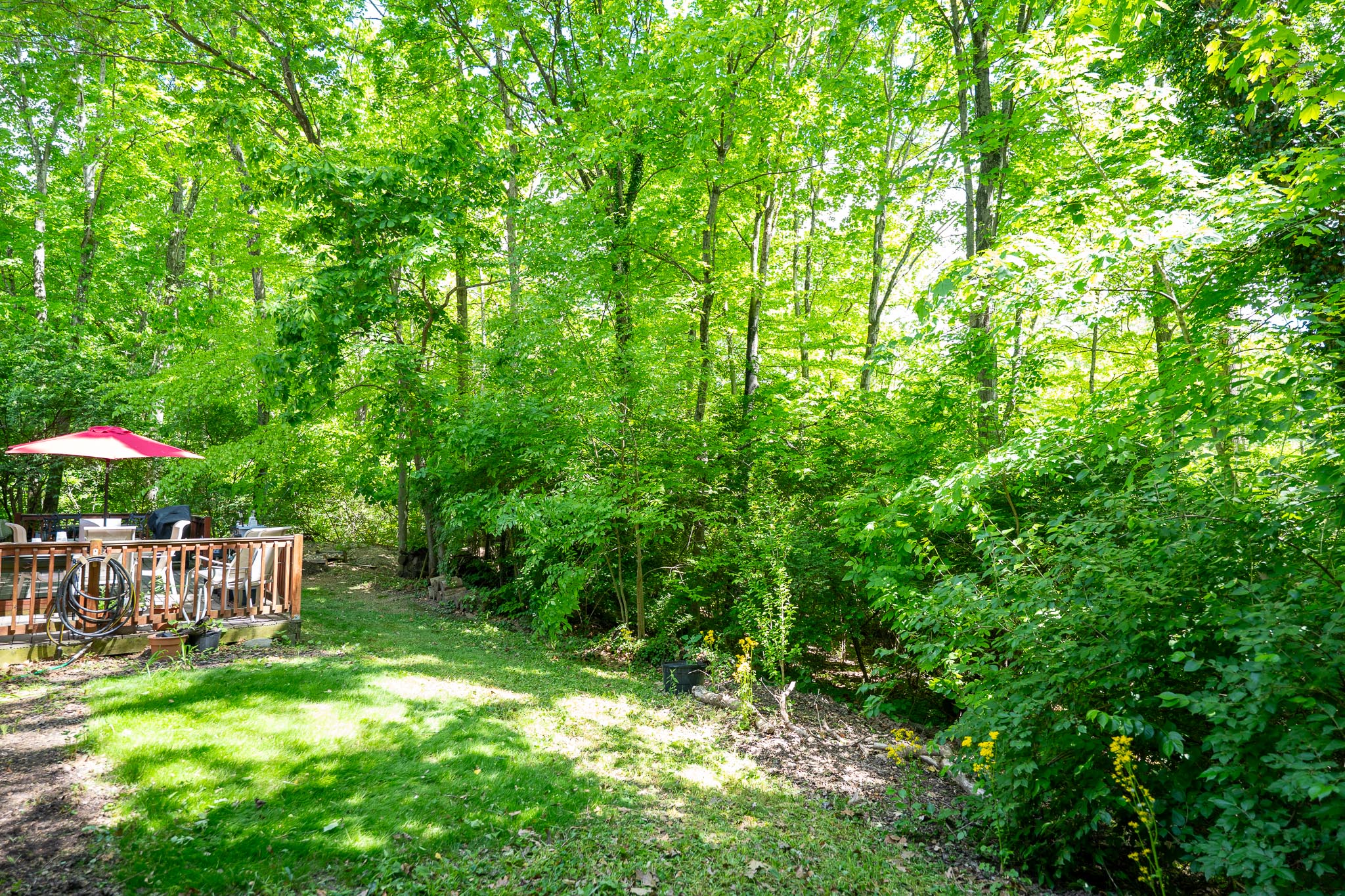 8951 Deep Forest Lane, Washington Township, Ohio 45458, 4 Bedrooms Bedrooms, 10 Rooms Rooms,2 BathroomsBathrooms,House,For sale,Deep Forest Lane,0,1013 8951 Deep Forest Lane, Washington Township, Ohio 45458, 4 Bedrooms Bedrooms, 10 Rooms Rooms,2 BathroomsBathrooms,House,For sale,Deep Forest Lane,0,1013